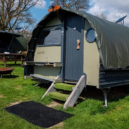 Yha * バターミア